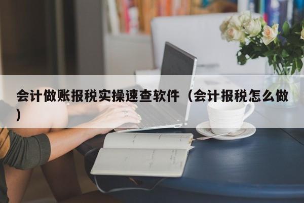 会计做账报税实操速查软件（会计报税怎么做）