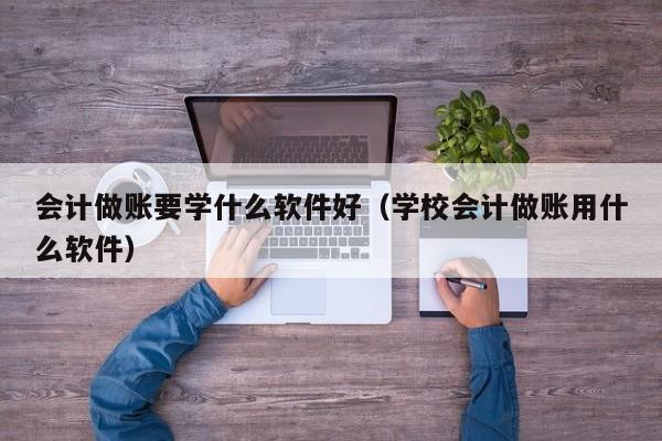 会计做账要学什么软件好（学校会计做账用什么软件）