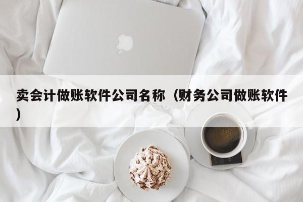 卖会计做账软件公司名称（财务公司做账软件）