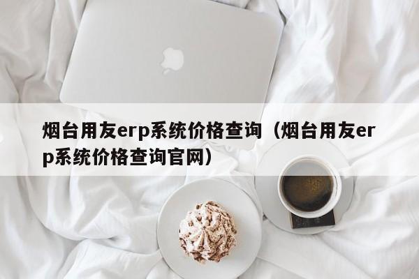 烟台用友erp系统价格查询（烟台用友erp系统价格查询官网）