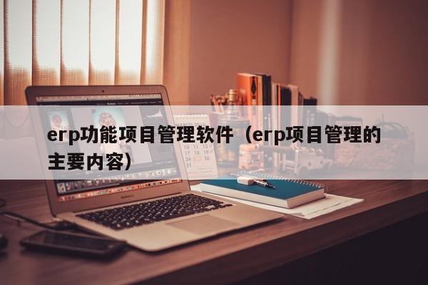 erp功能项目管理软件（erp项目管理的主要内容）