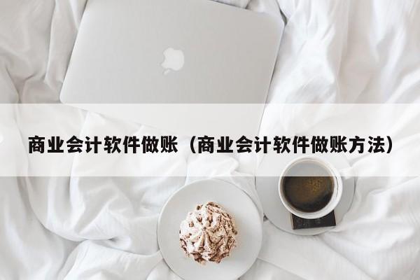 商业会计软件做账（商业会计软件做账方法）