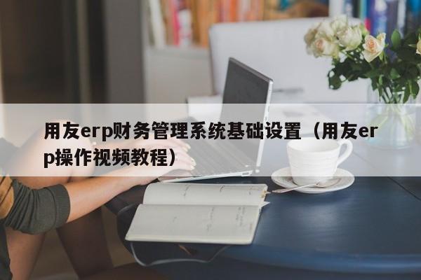 用友erp财务管理系统基础设置（用友erp操作视频教程）