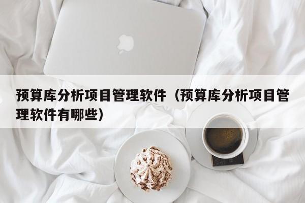 预算库分析项目管理软件（预算库分析项目管理软件有哪些）