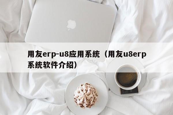 用友erp-u8应用系统（用友u8erp系统软件介绍）