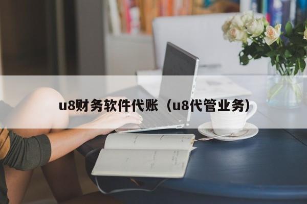 u8财务软件代账（u8代管业务）