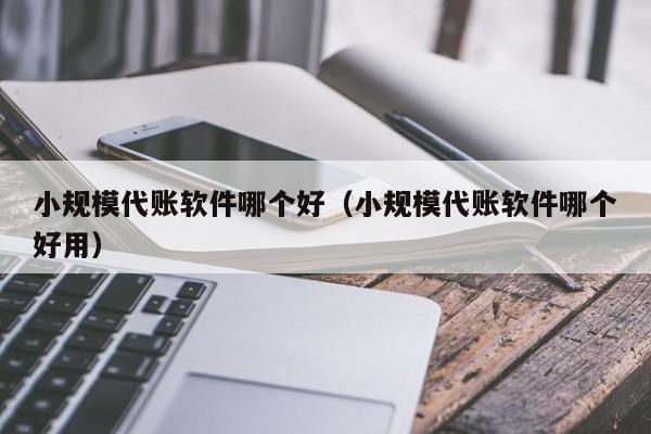 小规模代账软件哪个好（小规模代账软件哪个好用）