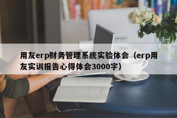 用友erp财务管理系统实验体会（erp用友实训报告心得体会3000字）