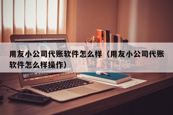 用友小公司代账软件怎么样（用友小公司代账软件怎么样操作）