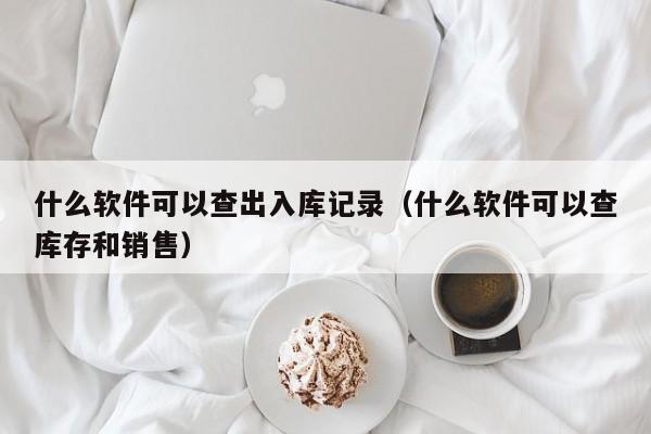 什么软件可以查出入库记录（什么软件可以查库存和销售）