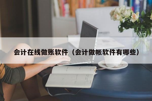 会计在线做账软件（会计做帐软件有哪些）