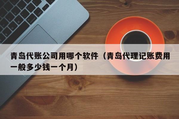 青岛代账公司用哪个软件（青岛代理记账费用一般多少钱一个月）