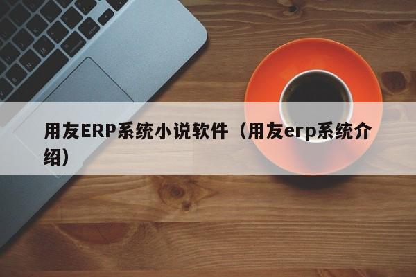 用友ERP系统小说软件（用友erp系统介绍）