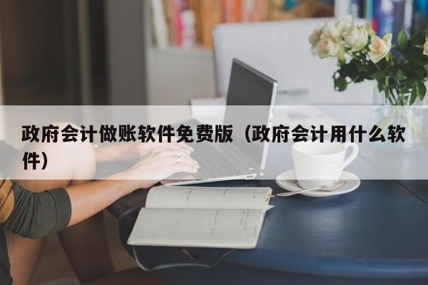 政府会计做账软件免费版（政府会计用什么软件）