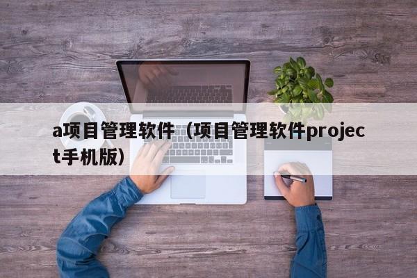 a项目管理软件（项目管理软件project手机版）