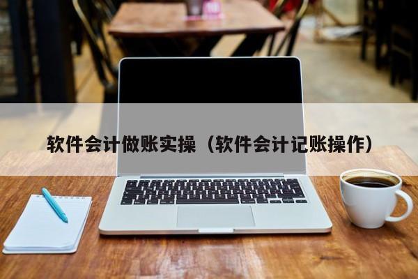 软件会计做账实操（软件会计记账操作）