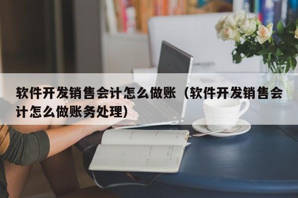 软件开发销售会计怎么做账（软件开发销售会计怎么做账务处理）