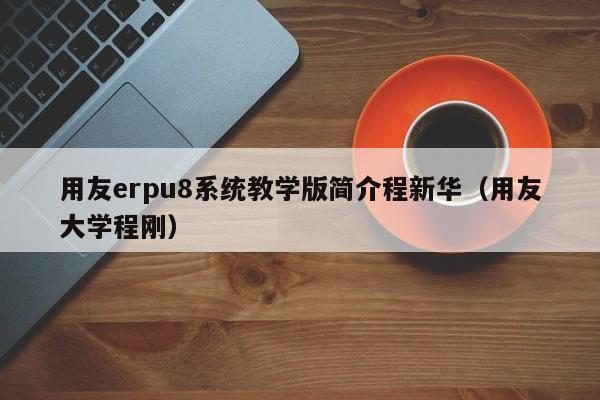 用友erpu8系统教学版简介程新华（用友大学程刚）