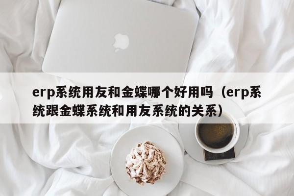 erp系统用友和金蝶哪个好用吗（erp系统跟金蝶系统和用友系统的关系）