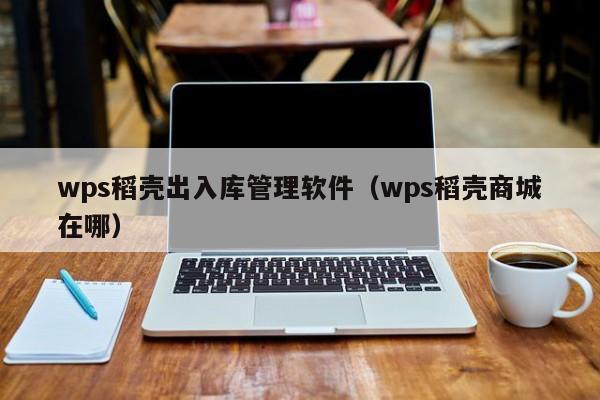 wps稻壳出入库管理软件（wps稻壳商城在哪）