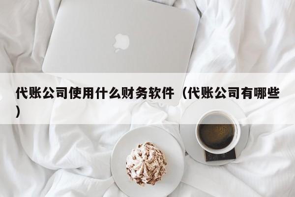 代账公司使用什么财务软件（代账公司有哪些）