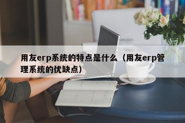 用友erp系统的特点是什么（用友erp管理系统的优缺点）