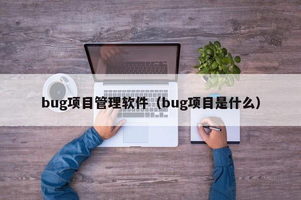 bug项目管理软件（bug项目是什么）