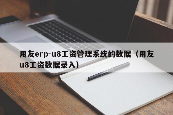 用友erp-u8工资管理系统的数据（用友u8工资数据录入）