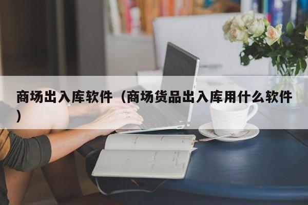 商场出入库软件（商场货品出入库用什么软件）