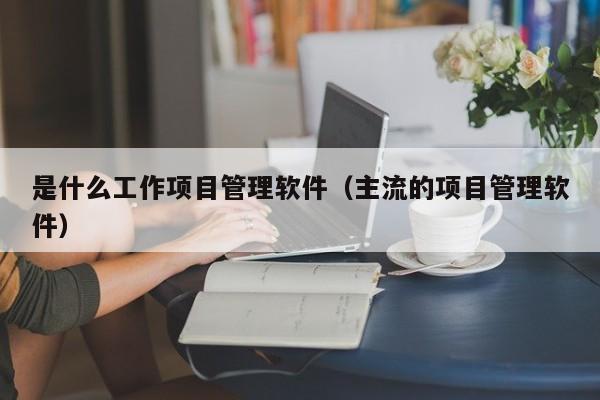 是什么工作项目管理软件（主流的项目管理软件）