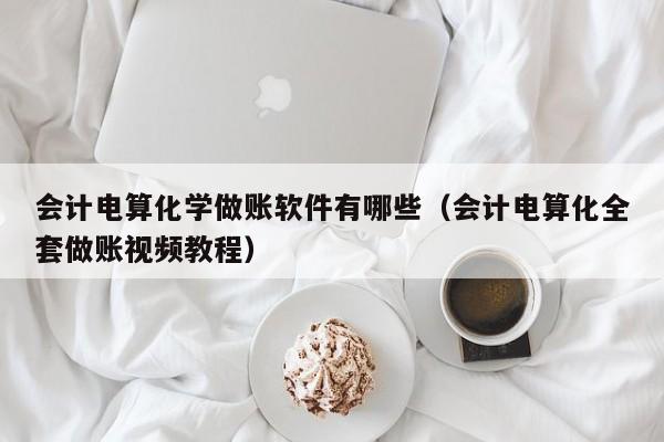 会计电算化学做账软件有哪些（会计电算化全套做账视频教程）