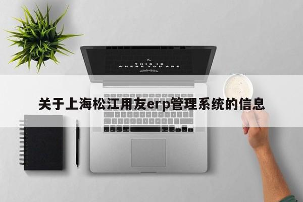 关于上海松江用友erp管理系统的信息