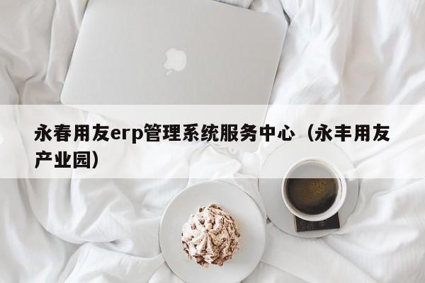 永春用友erp管理系统服务中心（永丰用友产业园）