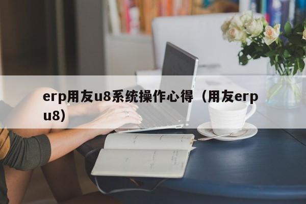 erp用友u8系统操作心得（用友erp u8）