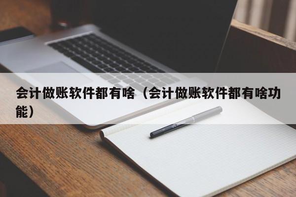 会计做账软件都有啥（会计做账软件都有啥功能）