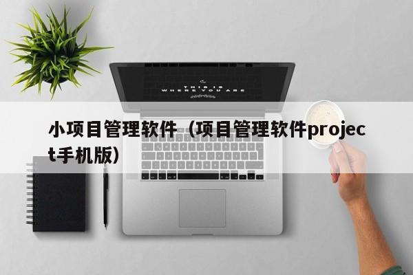 小项目管理软件（项目管理软件project手机版）