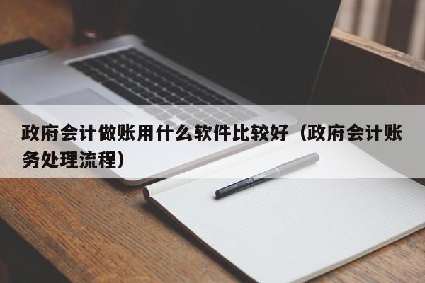 政府会计做账用什么软件比较好（政府会计账务处理流程）