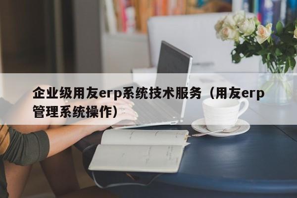 企业级用友erp系统技术服务（用友erp管理系统操作）