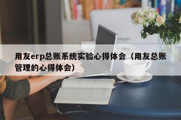 用友erp总账系统实验心得体会（用友总账管理的心得体会）