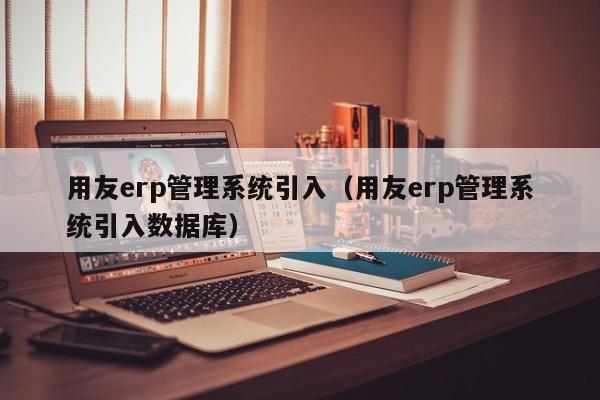 用友erp管理系统引入（用友erp管理系统引入数据库）