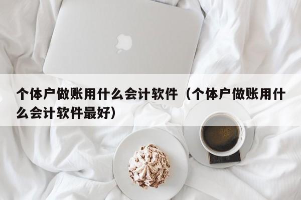 个体户做账用什么会计软件（个体户做账用什么会计软件最好）