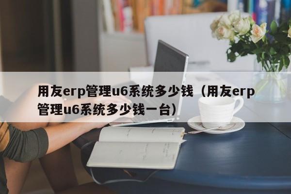 用友erp管理u6系统多少钱（用友erp管理u6系统多少钱一台）