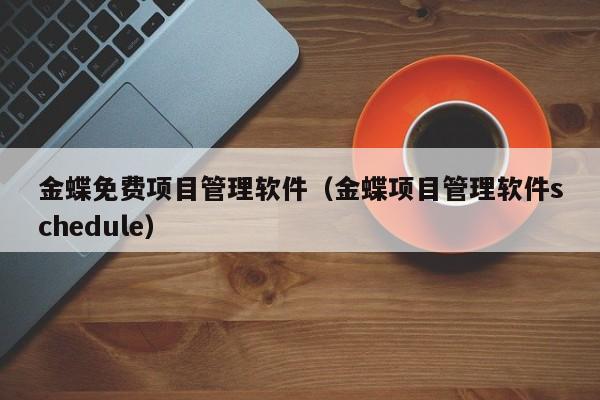 金蝶免费项目管理软件（金蝶项目管理软件schedule）