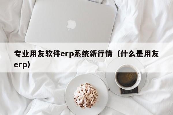 专业用友软件erp系统新行情（什么是用友erp）