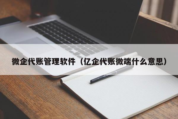 微企代账管理软件（亿企代账微端什么意思）