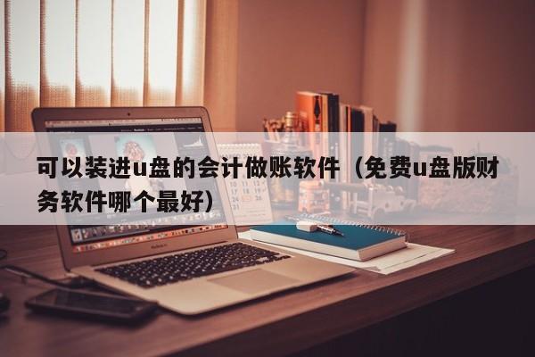 可以装进u盘的会计做账软件（免费u盘版财务软件哪个最好）