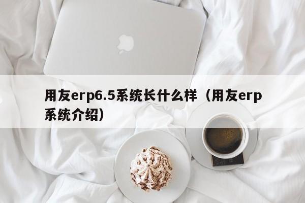 用友erp6.5系统长什么样（用友erp系统介绍）