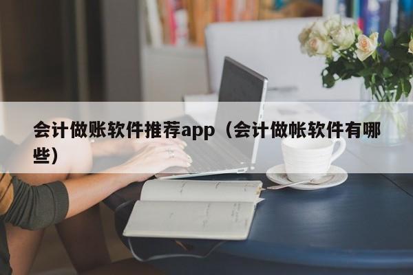 会计做账软件推荐app（会计做帐软件有哪些）