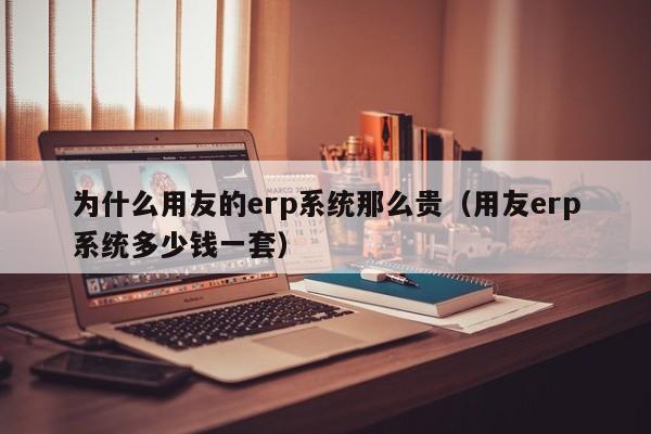 为什么用友的erp系统那么贵（用友erp系统多少钱一套）