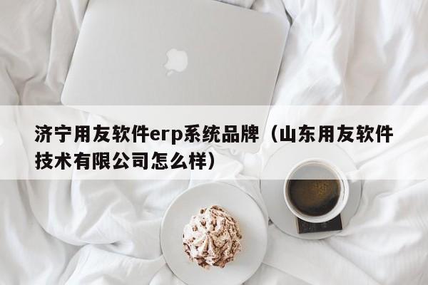 济宁用友软件erp系统品牌（山东用友软件技术有限公司怎么样）